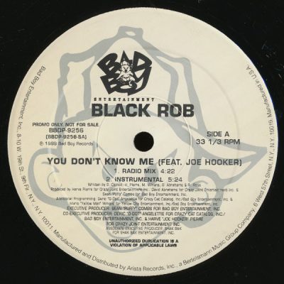 Black Rob – You Don’t Know Me (Promo VLS) (1999) (FLAC + 320 kbps)