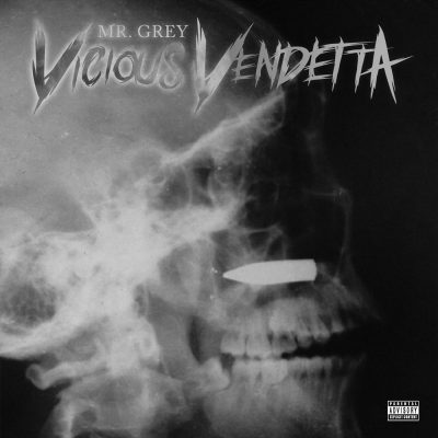 Mr. Grey – Vicious Vendetta (WEB) (2020) (320 kbps)