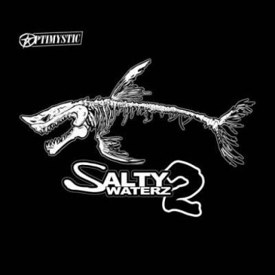 Optimystic – Salty Waterz 2 (WEB) (2020) (320 kbps)