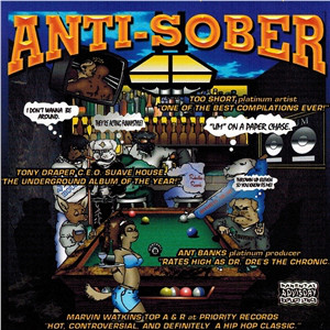 VA – Anti-Sober (CD) (1999) (FLAC + 320 kbps)