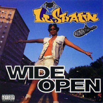 LeShaun – Wide Open (CDS) (1993) (FLAC + 320 kbps)