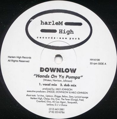 Downlow / Buddah Nation – Hands On Ya Pumpz / Buddah Nation (VLS) (1995) (VBR V0)
