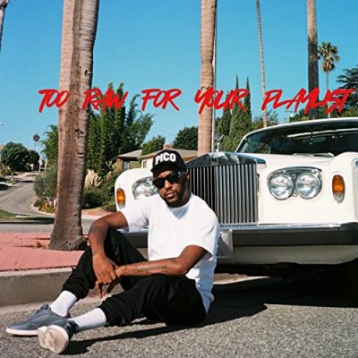 Polyester The Saint – Too Raw For Your Playlist (WEB) (2021) (320 kbps)