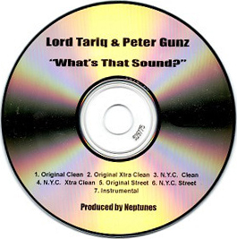 Lord Tariq & Peter Gunz – What’s That Sound? (CDS) (2000) (FLAC + 320 kbps)