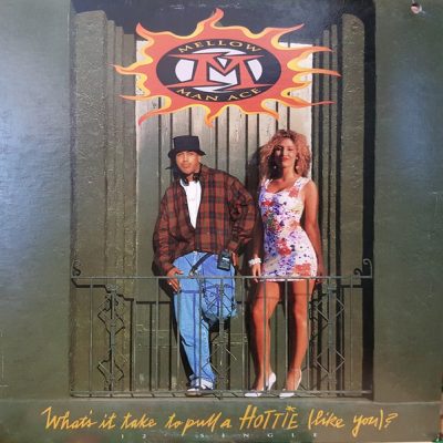 Mellow Man Ace – What’s It Take To Pull A Hottie (Like You) (VLS) (1992) (FLAC + 320 kbps)