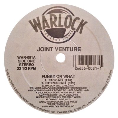 Joint Venture – Funky Or What (VLS) (1990) (FLAC + 320 kbps)