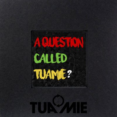 Tuamie – A Question Called Tuamie (WEB) (2022) (320 kbps)
