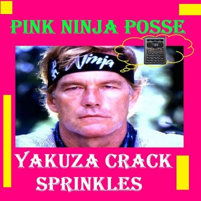 Lord Beatjitzu – Pink Ninja Posse Yakuza Crack Sprinkles (Beats 207-222) (WEB) (2022) (320 kbps)