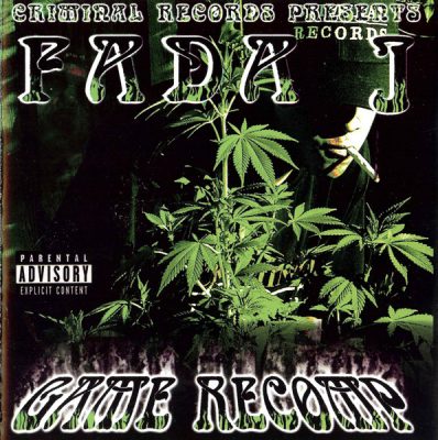 Fada J – Game Recomp (CD) (2001) (FLAC + 320 kbps)