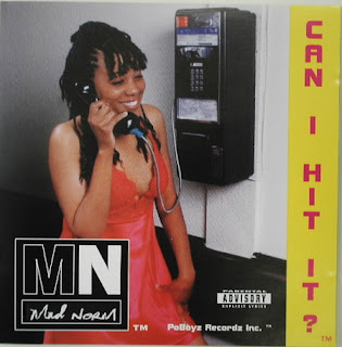 Mad Norm – Can I Hit It? (CD) (1995) (FLAC + 320 kbps)