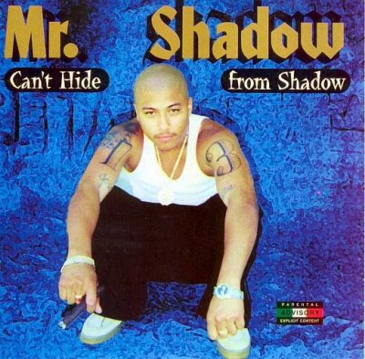 Mr. Shadow – Can’t Hide From Shadow (CD) (2000) (FLAC + 320 kbps)