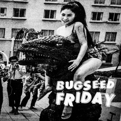Bugseed – Friday (WEB) (2022) (320 kbps)