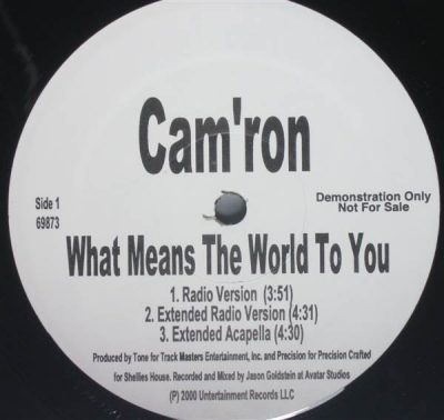 Cam’ron – What Means The World To You (Remix) (VLS) (2000) (FLAC + 320 kbps)