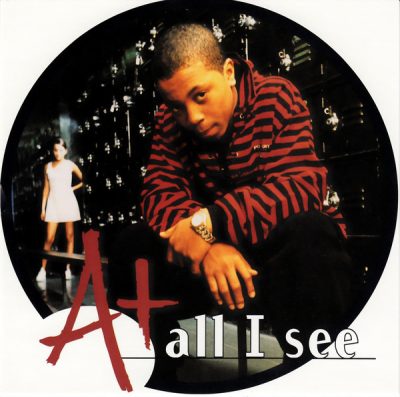 A+ – All I See (CDS) (1996) (FLAC + 320 kbps)