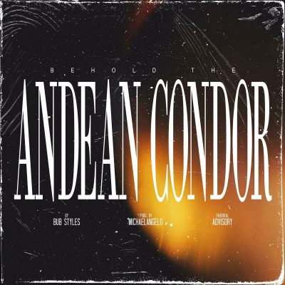 Bub Styles & Michaelangelo – Behold The Andean Condor (WEB) (2023) (320 kbps)