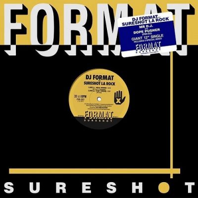 DJ Format – Mr. DJ (WEB Single) (2011) (320 kbps)