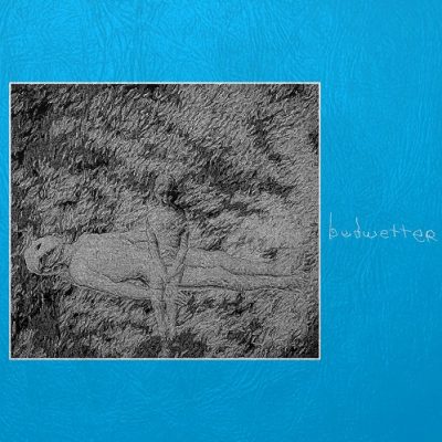 Bedwetter – Volume 1 (Vinyl Reissue) (2017-2020) (FLAC + 320 kbps)