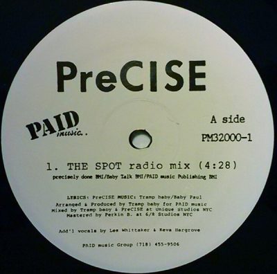 PreCISE – The Spot (VLS) (1997) (FLAC + 320 kbps)