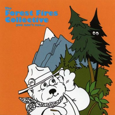 The Forest Fires Collective – You Can’t See… (CD) (2002) (FLAC + 320 kbps)