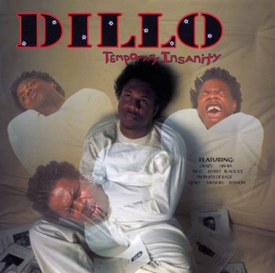 Dillo – Temporary Insanity (Reissue CD) (1995-2023) (FLAC + 320 kbps)