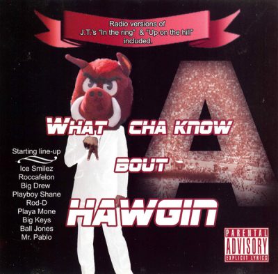 VA – What Cha Know Bout Hawgin (CD) (2006) (FLAC + 320 kbps)