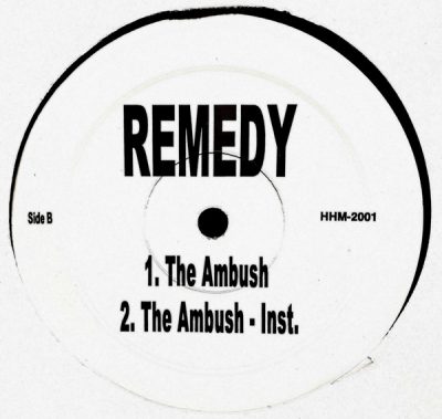 Remedy – Hip-Hop Music (VLS) (2001) (FLAC + 320 kbps)