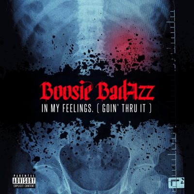 Boosie Badazz – In My Feelings. (Goin’ Thru It) (CD) (2016) (FLAC + 320 kbps)