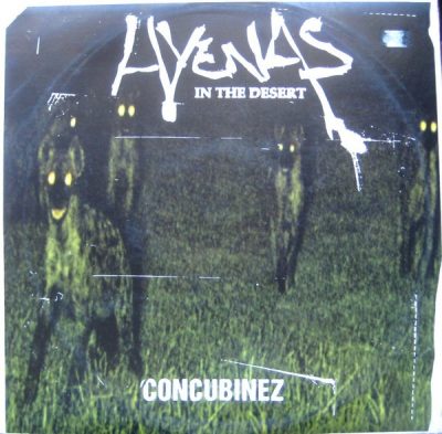 Hyenas In The Desert – Concubinez (VLS) (1996) (FLAC + 320 kbps)