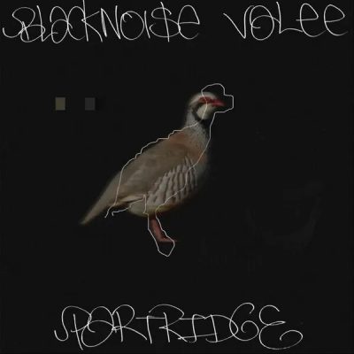 Valee & Black Noi$e – Partridge EP (WEB) (2024) (320 kbps)
