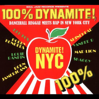 VA – 100% Dynamite NYC! Dancehall Reggae Meets Rap In New York City (2xCD) (2009) (FLAC + 320 kbps)