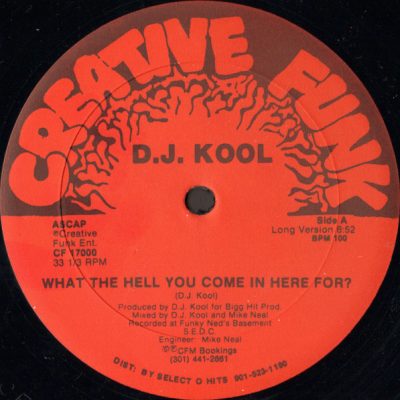 DJ Kool – What The Hell You Come In Here For (WEB Single) (1989) (320 kbps)