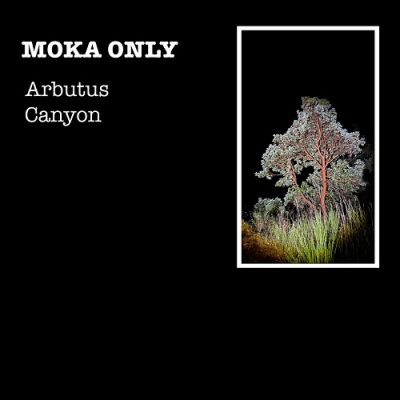 Moka Only – Arbutus Canyon (WEB) (2024) (320 kbps)