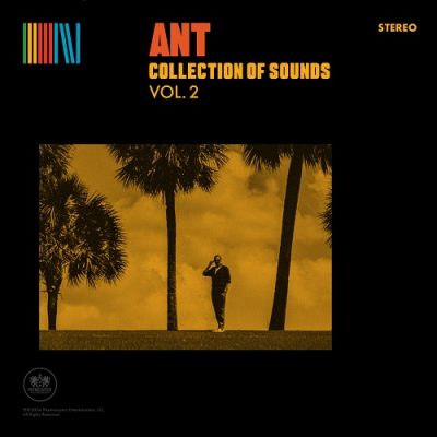 Ant – Collection Of Sounds Vol. 2 (WEB) (2024) (320 kbps)