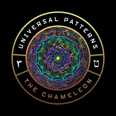 The Chameleon – Universal Patterns (WEB) (2024) (320 kbps)