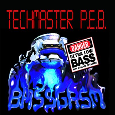 Techmaster P.E.B. – Bassgasm (WEB) (1994) (FLAC + 320 kbps)