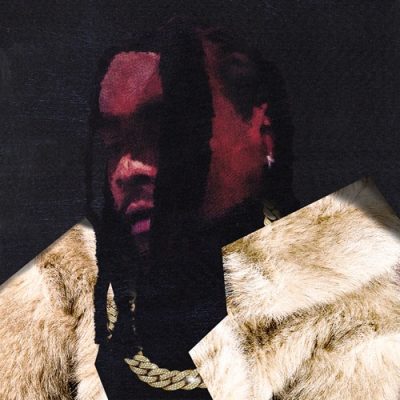 Wale – Everything Is A Lot (WEB) (2025) (320 kbps)