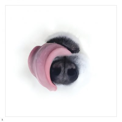 P.O.S & Dwynell Roland – Relay Relay!! EP (WEB) (2025) (320 kbps)