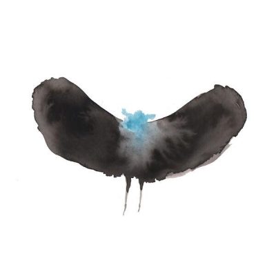 Dälek & Charles Hayward – HAYWARDxDÄLEK (WEB) (2025) (320 kbps)