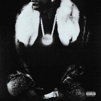 Max B – Public Domain 7 The Purge (Patient Zero Deluxe) (WEB) (2025) (320 kbps)