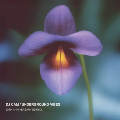 DJ Cam – Underground Vibes (30th Anniversary Edition Vinyl) (1995-2025) (FLAC + 320 kbps)
