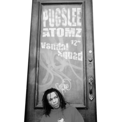 Pugslee Atomz – Vandal Squad (VLS) (2004) (FLAC + 320 kbps)
