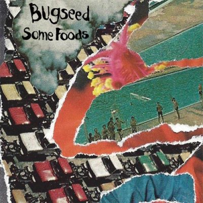 Bugseed – Some Foods (WEB) (2025) (320 kbps)