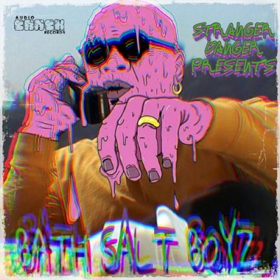 Stranger Danger – Bath Salt Boyz (WEB) (2016) (320 kbps)