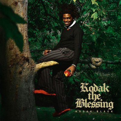 Kodak Black – Kodak The Blessing (WEB) (2026) (FLAC + 320 kbps)