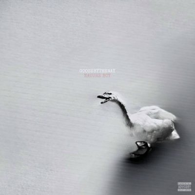 GooseByTheWay – Nature Boy (WEB) (2026) (320 kbps)