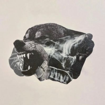 Snotty & Goodphella – Wolves Don’t Wear Collars (WEB) (2026) (320 kbps)