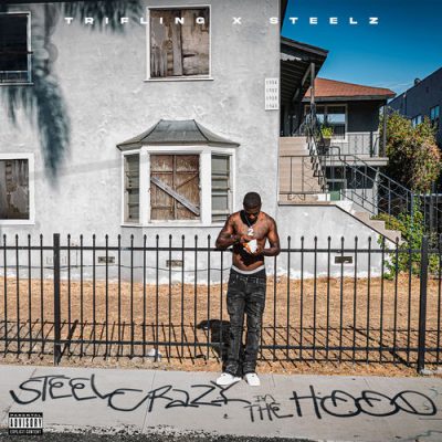 Trifling & Steelz – Steel Crazy In The Hood (WEB) (2026) (320 kbps)