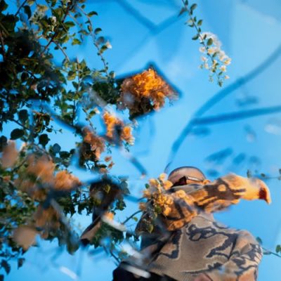 SB11 – From Above (WEB) (2026) (320 kbps)